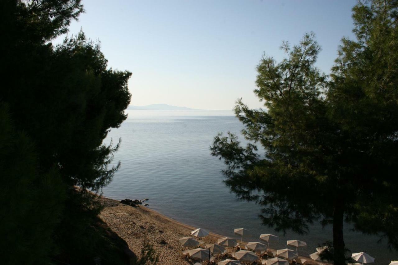 Cosy Apartment By The Sea Metamorfosi  Luaran gambar